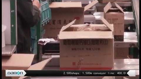 DAMON conveyor & sorter in E-commerce warehouse-pharma application