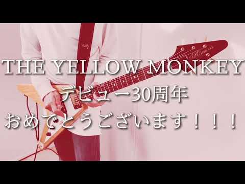 「ALRIGHT -Nagoya Dome,2019.12.28-  / THE YELLOW MONKEY ｣(ギターで弾いてみました(コピーです)猫一