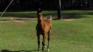 Another One of Annes Babies!