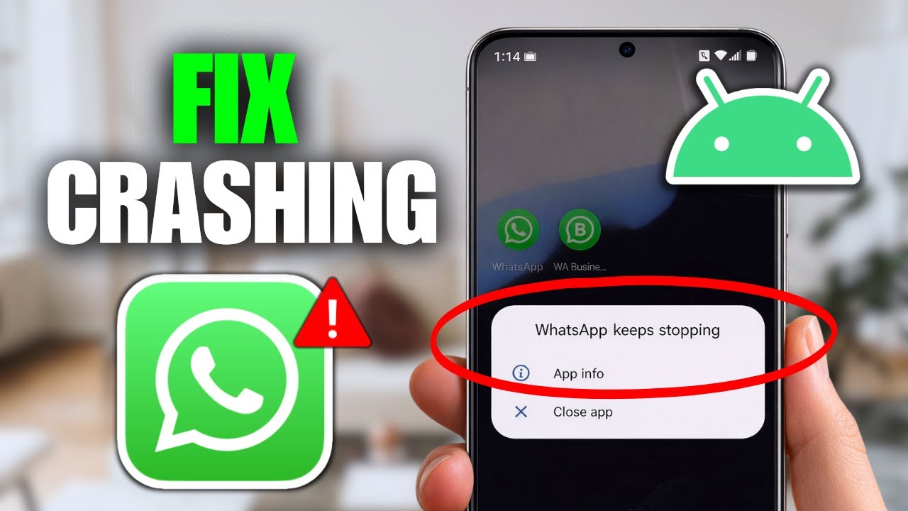 How To Fix WhatsApp Keeps Crashing On Android Phone