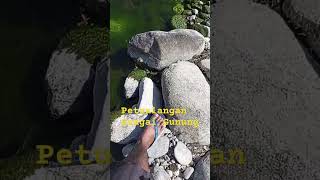 Petualangan Mencari Batu Akik Di Sungai Pegunungan.. Resimi