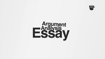 Argumentanalyse-essay