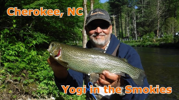 Western North Carolina Trout Fishing 