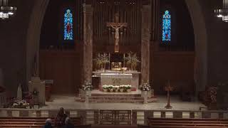 8:00 AM Celebration of the Holy Mass May 25, 2026