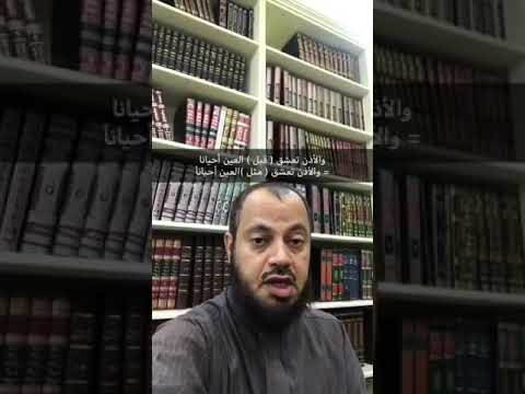 الجزء الثاني من فوائد تثقيف اللسان وتلقيح الجنان