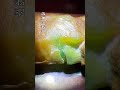 黄加绿翡翠｜缅甸天然A货翡翠｜行家玩的翡翠 #翡翠原石 #翡翠 #jade #品质好物