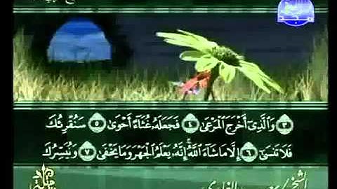 سورة الأعلى للشيخ سعد الغامدي Surat AlA'la Saad Al-Ghamdi