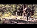 Sneak Attack | Bryan "Chili" Panzy's 2020 Jicarilla Archery Elk Hunt