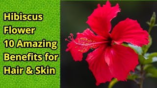 Hibiscus Flower 10 Amazing Benefits For Hair And Skin | Gudhal Ke Phool Ke 10 Zabardast Fayde