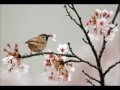 하느님은 사랑이예요 