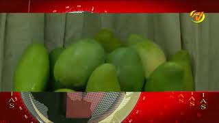 PERAVIA  NOTICIAS