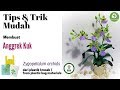 Bunga kresek Anggrek Kuk |DIY how to make Zygopetalum orchid from plastic bag |Zygopetalum