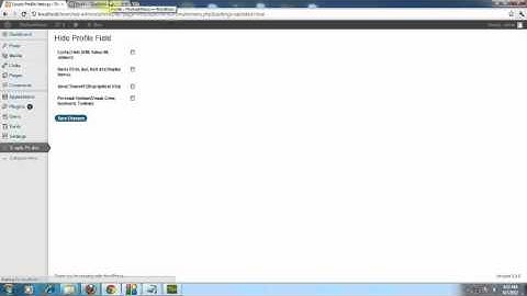 Hide Wordpress Profile Fields.avi