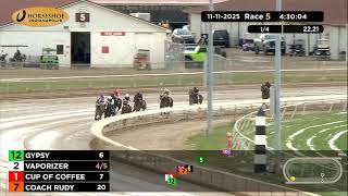 RACE 5 PROGRAM 11 11 2025