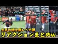 少年のようなリアクションが最高w 大谷翔平の特大ホームランを見たチームメイト、観客の反応をまとめてみた！2023年【現地映像】WBC2023侍ジャパン・エンゼルス