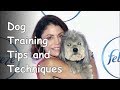 Dog Obedience Training Tips and Techniques Dog Obedience Training Tips and Techniques