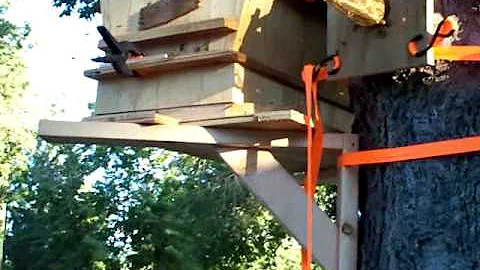Remember When  Beekeeping 101 via Lock-Out at tree