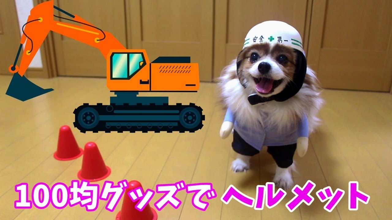 １００均グッズで 犬用ヘルメットを作ってみた Youtube