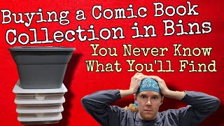 Buying a Comic Book Collection in Plastic Bins