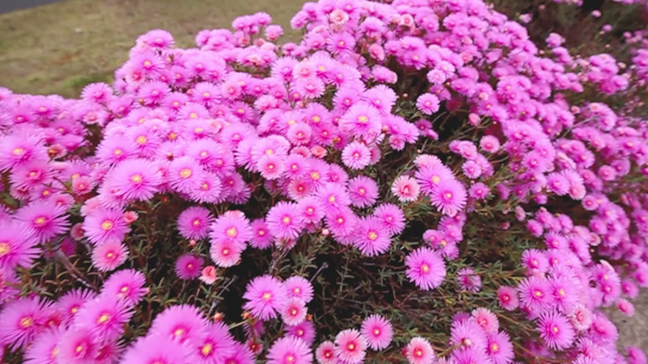 65 Ladbury Avenue, Penrith