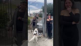 Padrasto Foi Dar Os Parabéns Para Sua Filha De Criação Mais Não Foi Atendidoobsencenação