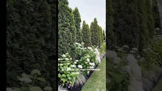 Клумба своими руками