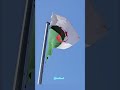 علم الجزائر يرفرف شامخا رمز العزة والكرامة ي زي ن سماء الوطن وي لهم أبناء ه