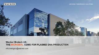 A Scalable Platform for GMP and High Quality Plasmid Manufacturing