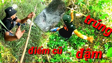 Câu cá lóc, câu lure, câu cá điểm huyền thoại