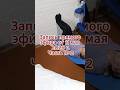 🔥 Запись прямого эфира от 11 мая 2026 г. Часть № 2