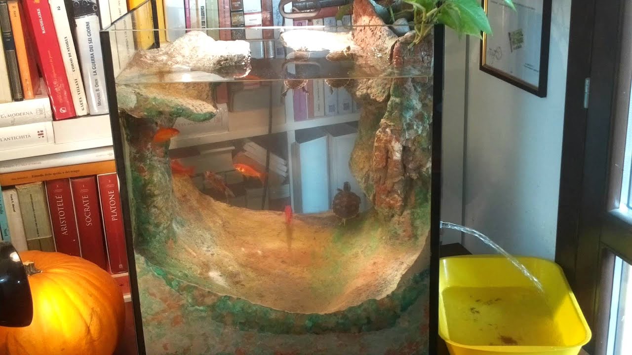 BY TOTO' DE NOCLEAN AQUARIUMS "ACQUARIO AUTOPULENTE" YouTube