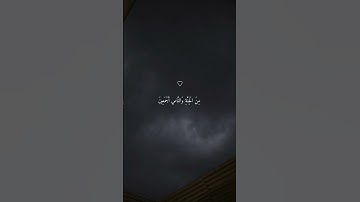 تلاوة خاشعة هادئة بصوت الشيخ ماهر المعيقلي #ماهر_المعيقلي #اكسبلور #فولو أرح سمعك ♡