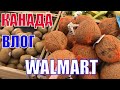 КАНАДА ВЛОГ Закупка продуктов В WALMART В Канаде