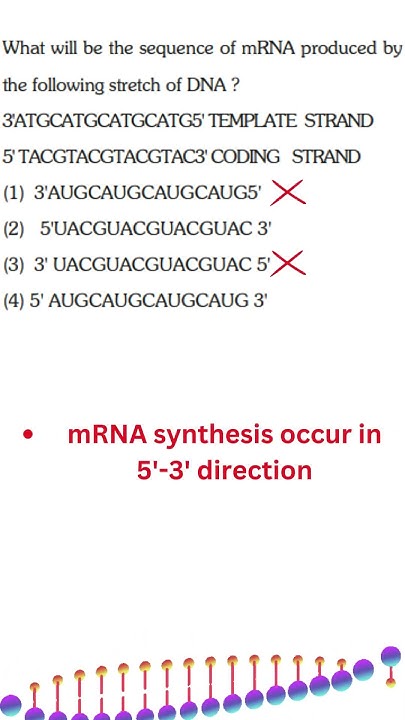 NEET PYQ I Molecular basis of inheritance #shorts #biology #ncert #neet ...