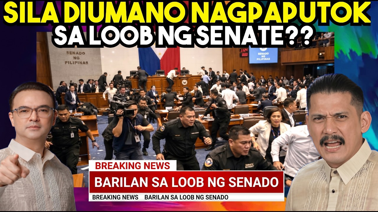 GANITO PALA ang mga TUNAY na NANGYARI SA LOOB NG SENADO noong nagka PUTUKAN