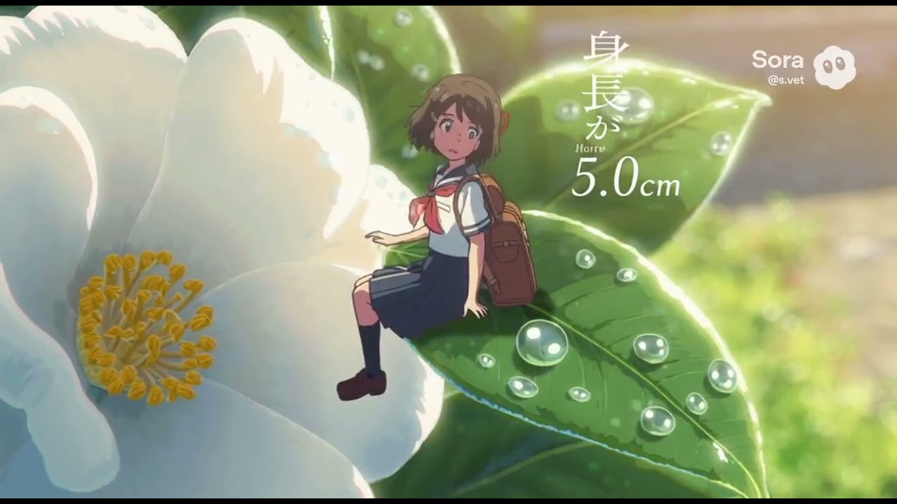 毎日少しづつ小さくなっていく女子高生