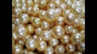 Pearls of Wisdom: Tales of Ordinary Metaphysics by Andrea Scarsi - Description