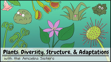 Plants: Diversity, Structure, & Adaptations