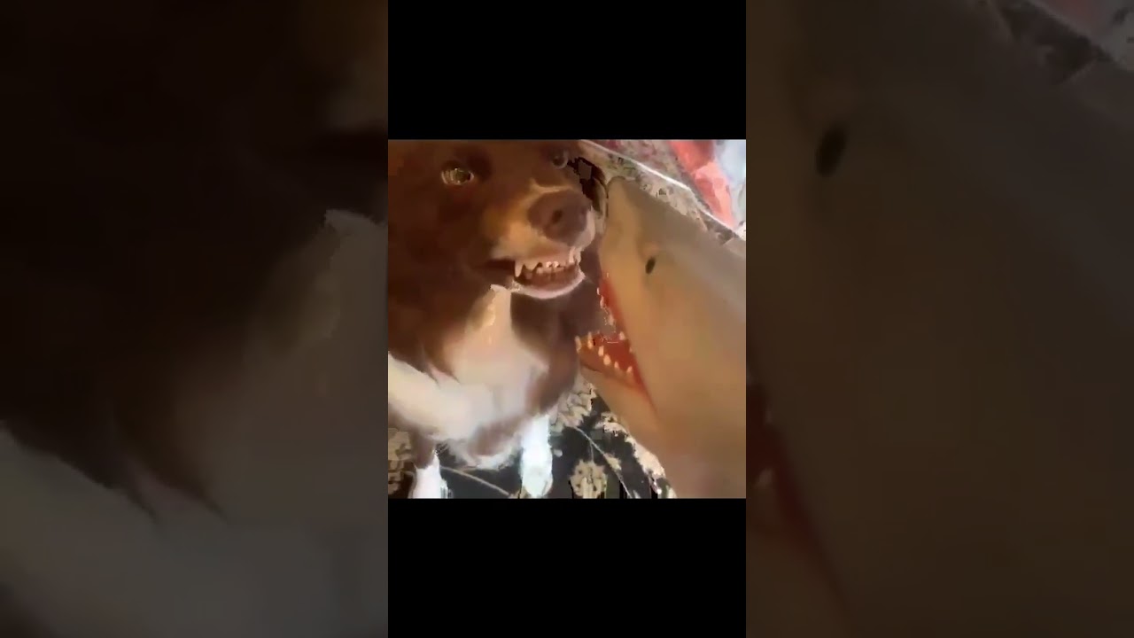 Чуток настроения вам в ленту... 