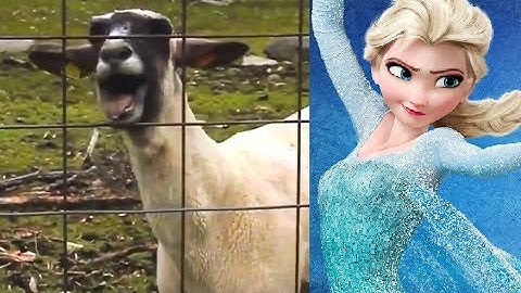Let It Goat - Disney Frozen (Edition)