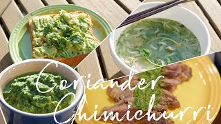 Coriander Chimichurri (Argentinian Sauce, Vegan)  |  Happy Gut