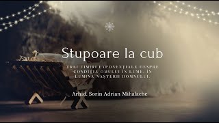 STUPOARE LA CUB. Trei uimiri exponențiale despre condiția omului în lume în lumina Nașterii Domnului