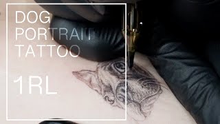 Singleneedle dog portrait tattoo [timelapse]