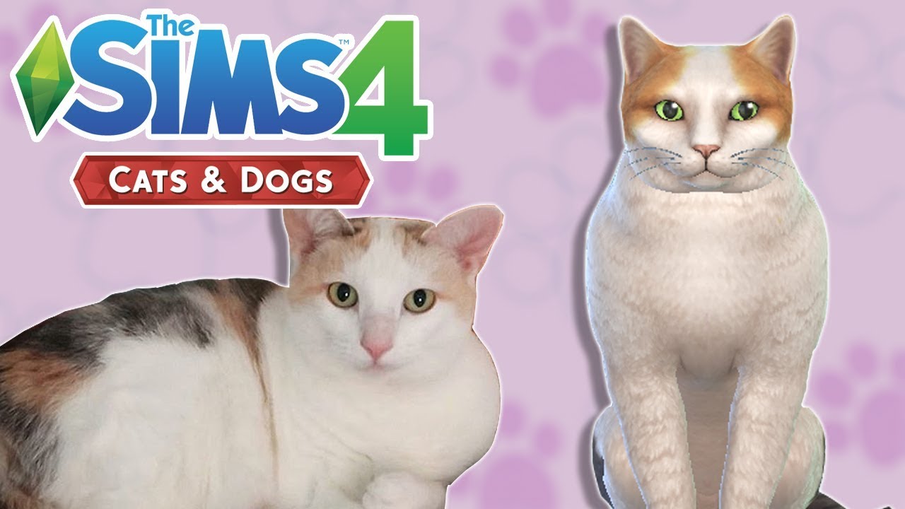 sims 4 melanin pack update cats and dogs