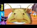 Monster blobfish  nightmare catnap emoji for dinner   fictional   monster meal asmr