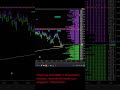 MBO Fist Heatmap Ninjatrader with advanced order data #bookmap #orderflow #daytrading #heatmap