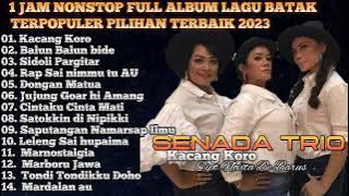 SENADA TRIO - FULL ALBUM LAGU BATAK POPULER PILIHAN TERBAIK - 1 JAM NONSTOP LiVE MUSIC