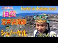 [First of this year]三浦・油壺/荒井浜でSnorkel・20200829・今年一番！最高！！「水中動画」