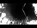 Ink Overlay