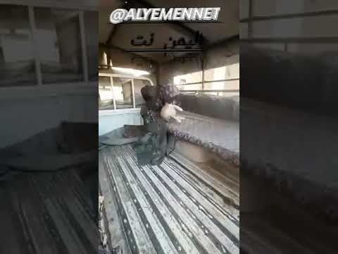 شاهد بنت يمنيه تمتص دماء الكلب